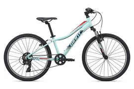 Подростковый велосипед Giant XTC Jr 24 (2020)