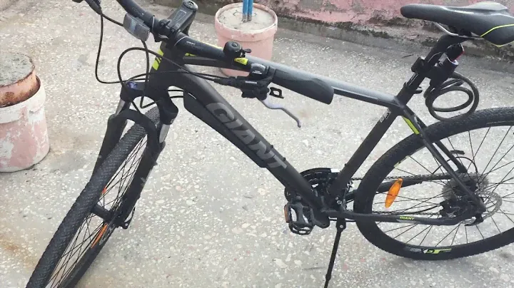 Giant roam disc1