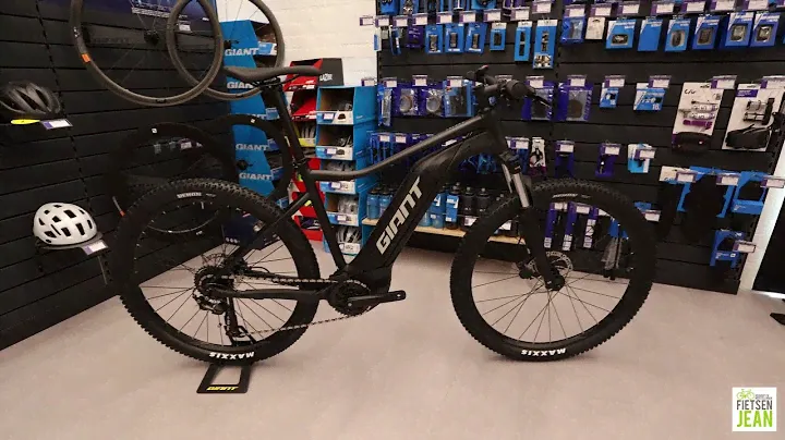 GIANT TALON 29er E+2