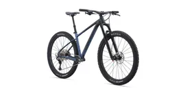 Giant Fathom 29 2 Black/Blue Ashes (2021)