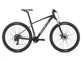 Giant Talon 4 (2021)