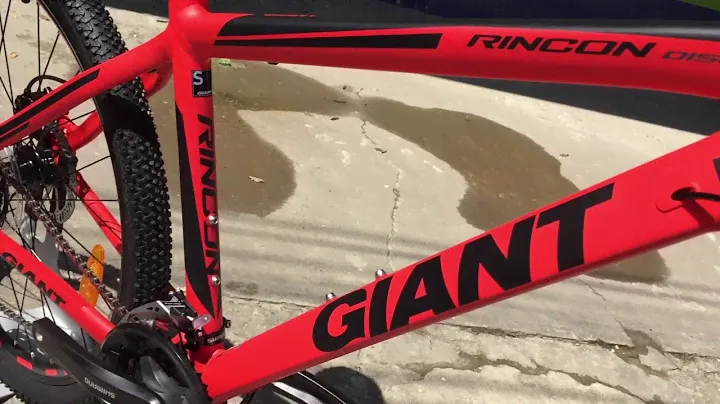 GIANT RINCON DISC